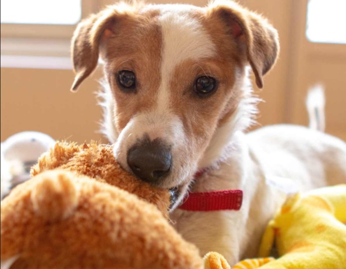 When “Mine” Becomes a Problem