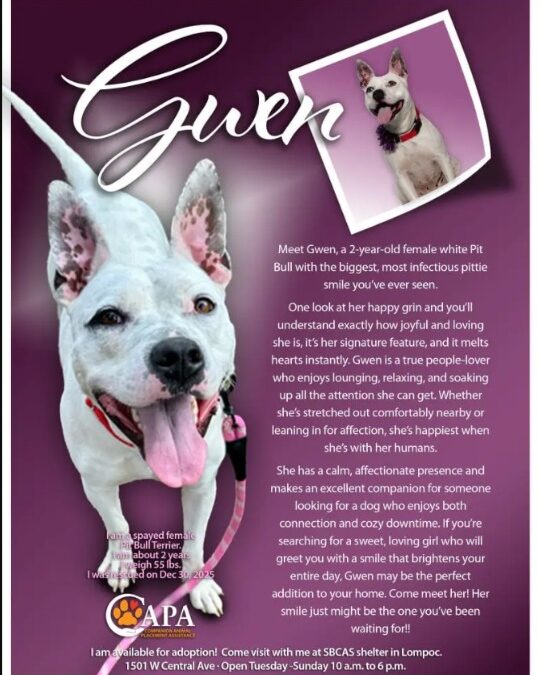 Gwen’s Big Soul in a Tender Body