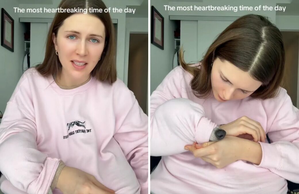 This Greyhound’s Post‑Nap Hideout Has the Internet Laughing and Relating