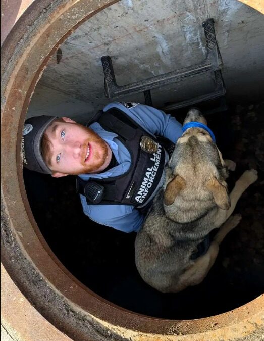 Trapped Underground and Terrified — Until Someone Heard Her Cry