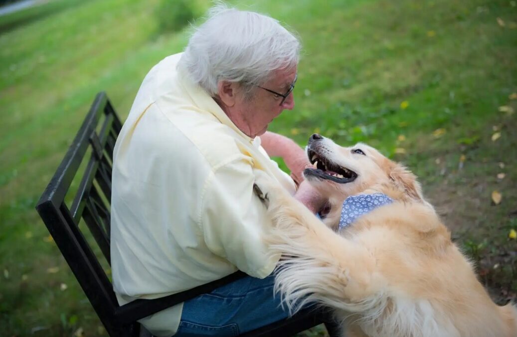 A Senior Dog’s Handmade Memory Quilt
