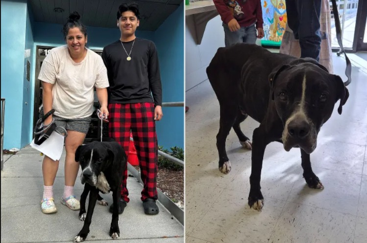 Parker’s Long Road Home: A Story of Hope