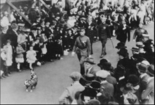 The Stray Who Became a Hero