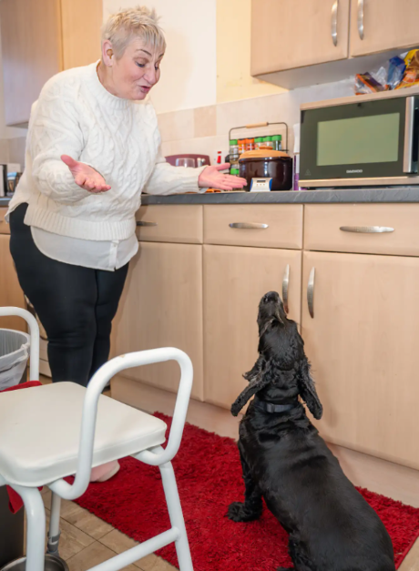 Arlo the Hearing Dog Saved His Owner from Black Ice
