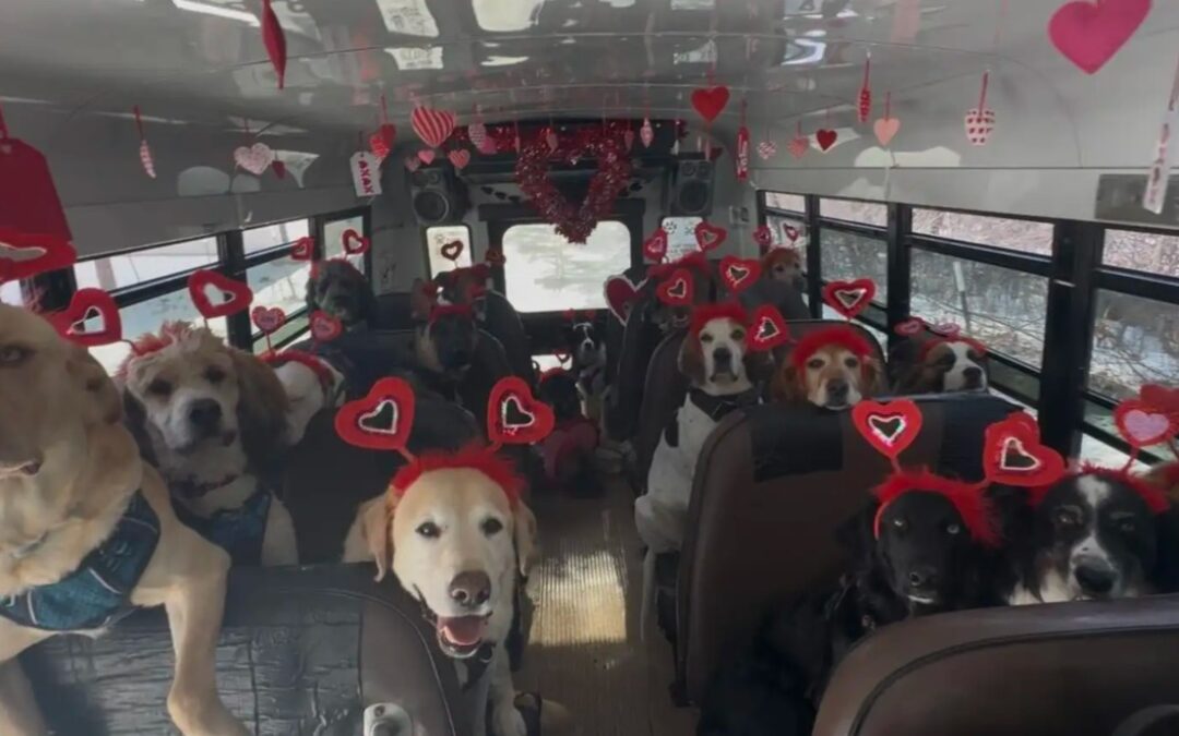 The Valentine’s Photo No One Thought Possible