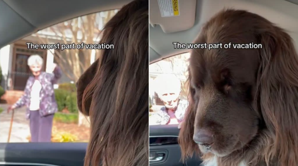 They Packed for Vacation — But He Wouldn’t Move