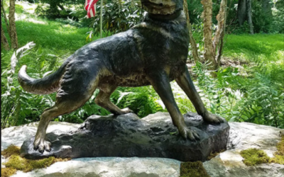 Chips: The WWII Dog Who Fought on the Front Lines
