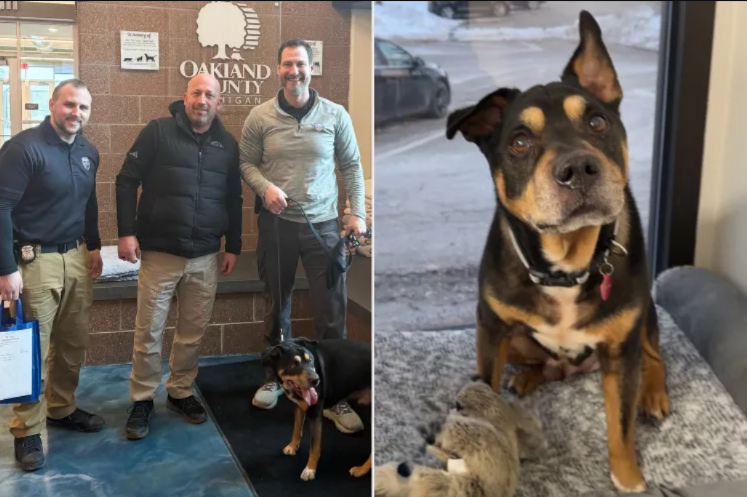 How a Lost Dog Found His Forever Badge