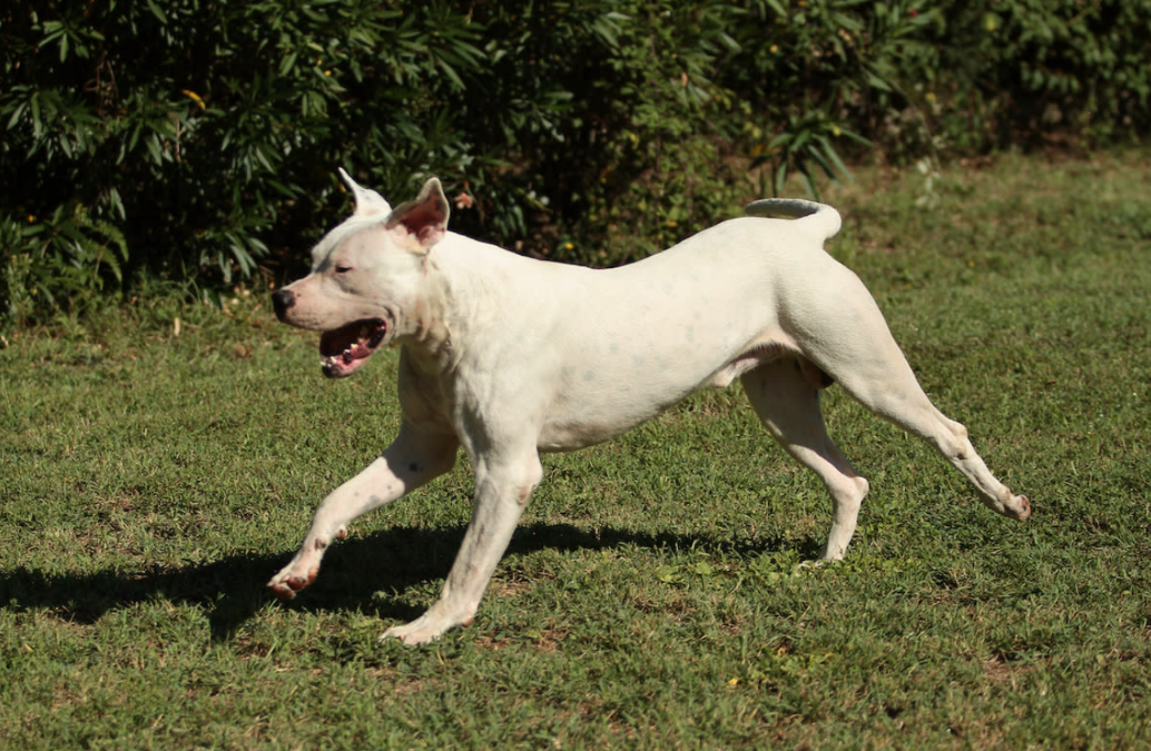 Rescuers Weren’t Ready for Her First Move