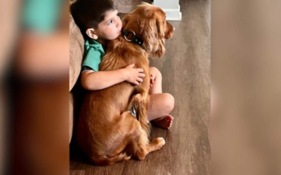 The Dog Who Knew Something Was Wrong — And Refused to Stay Silent