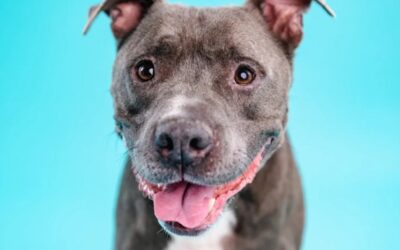 Used. Discarded. Still Loving.