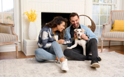 Smart and Affordable Ways to Make Your Space Great for Dogs