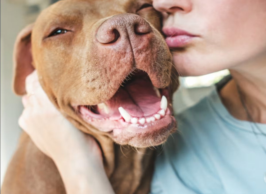 Foster Fail, Forever Love: Kora Luna’s Story
