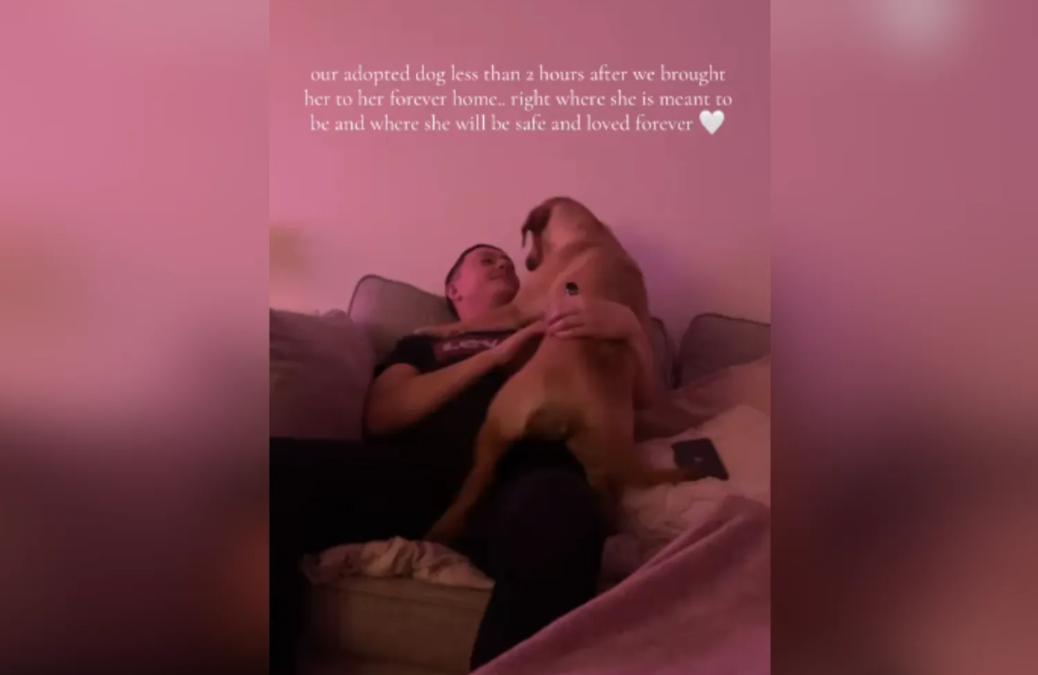 The Quietest, Most Beautiful Adoption Story You’ll See Today