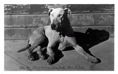 The Dog Who Owned a Town: Patsy Ann, Juneau’s Greeter
