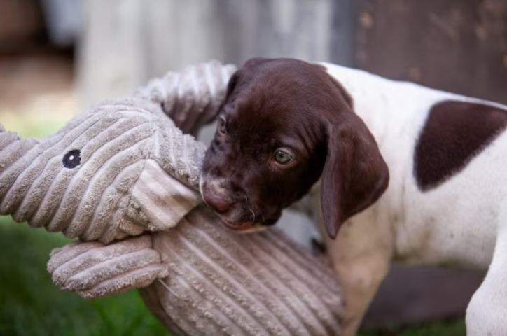 The First 5 Commands That Change Everything