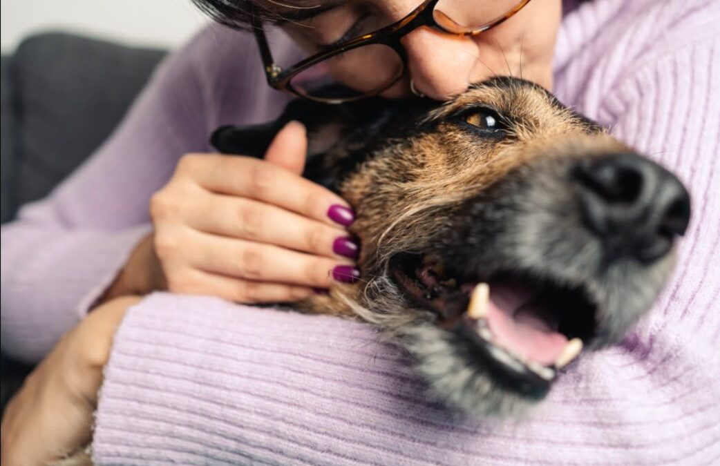 Tail Wag Triumph: Rocky’s Incredible Reunion with His Family