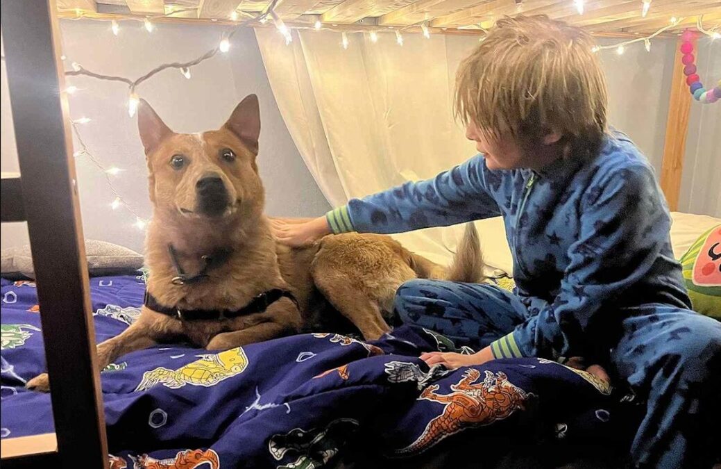 Rescue Dog Escapes on Day One, Then Comes an Incredible Reunion