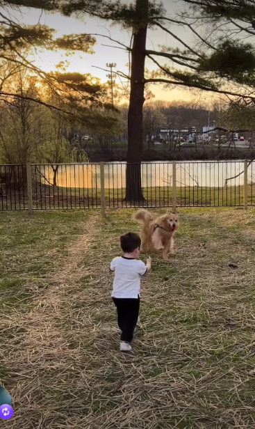 A Simple Yard… A Lifetime of Joy