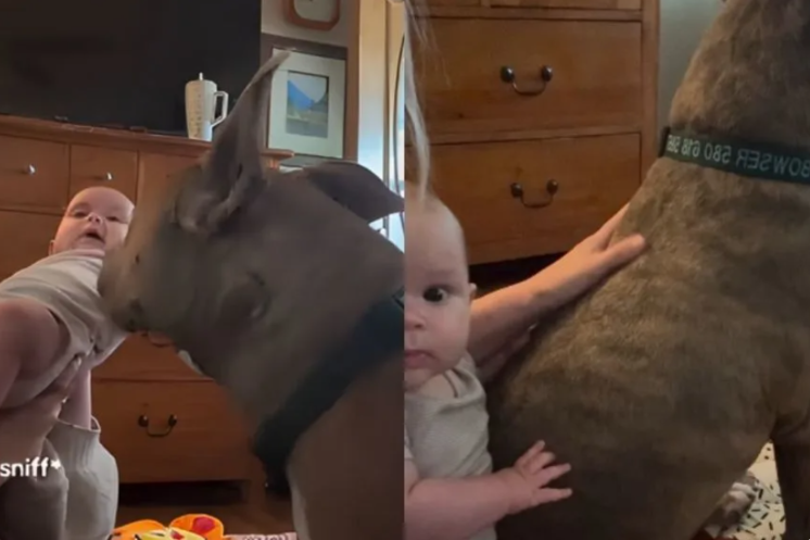 He Kept His Distance… Until One Day He Didn’t