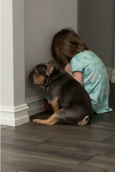The Dog Who Joined Time-Out on Purpose