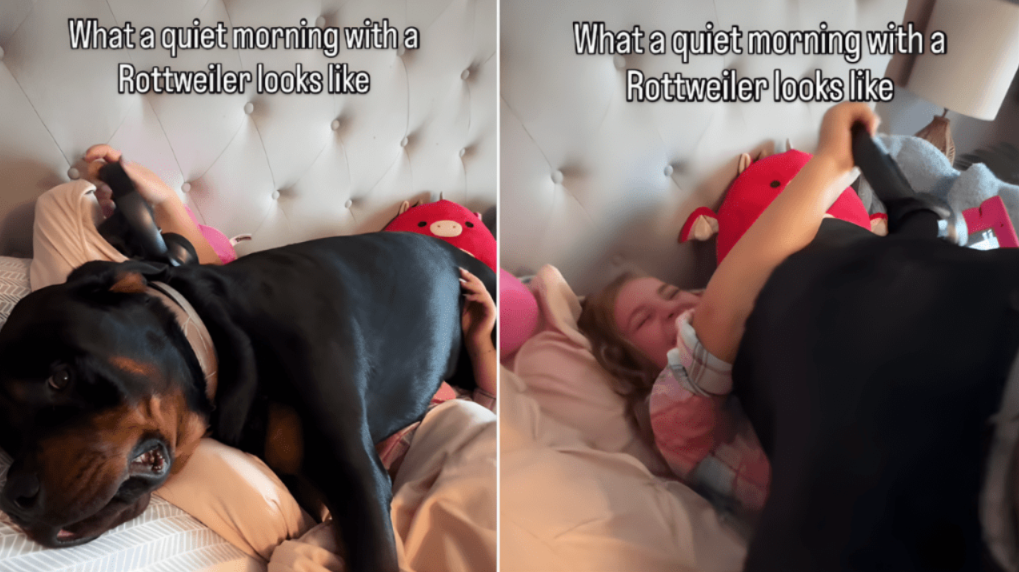 A Dog’s “Unusual” Way of Saying I Love You