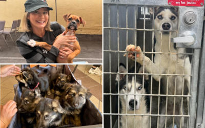 They Saved Thousands… Then Had to Walk Away