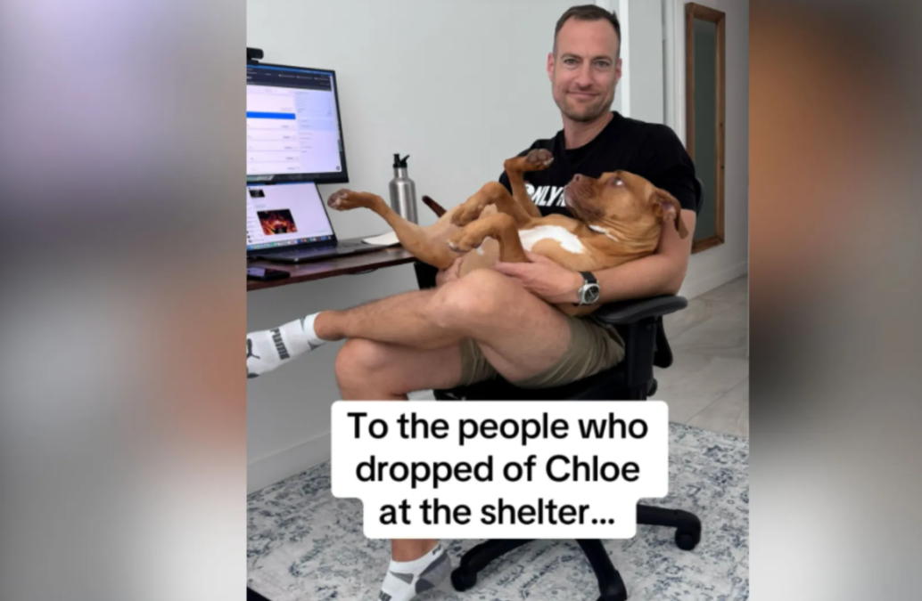 The Dog Wasn’t the Hard Part—The Goodbye Was
