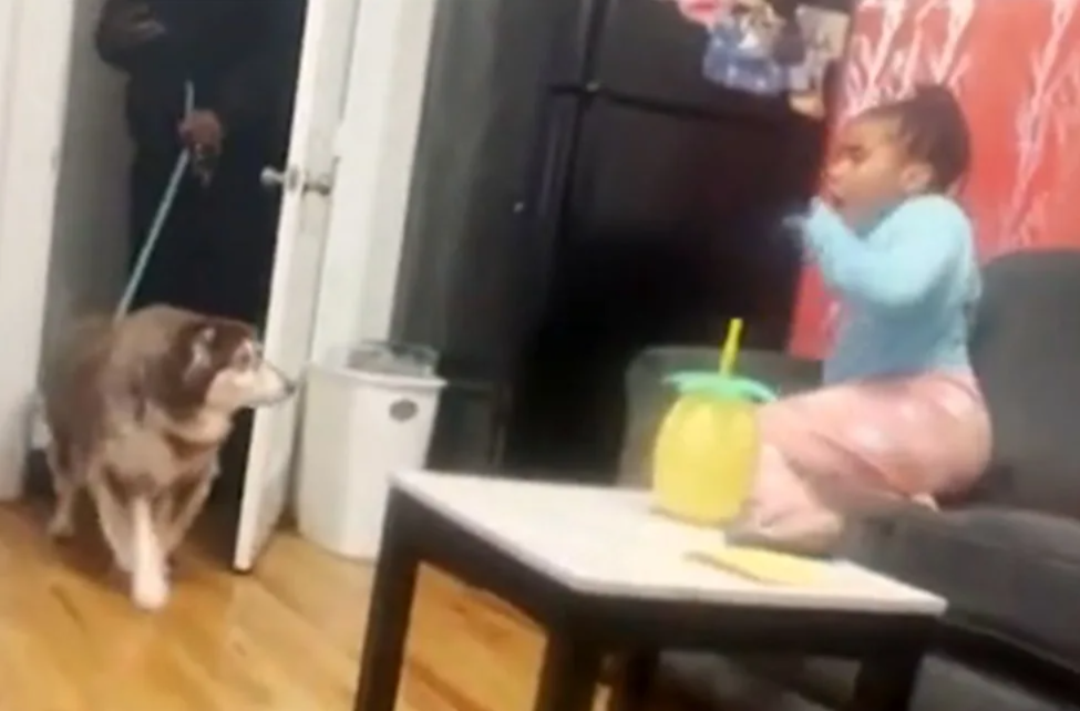 From a Final Wish to a Forever Home