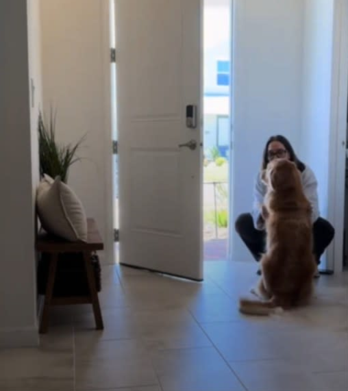 When Mom Comes Home… and the Welcome Is Priceless