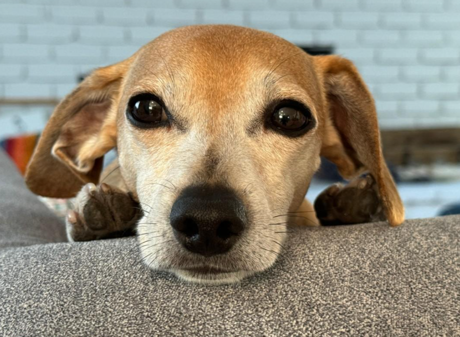 16 Years Old… and Still Spreading Joy on the Street