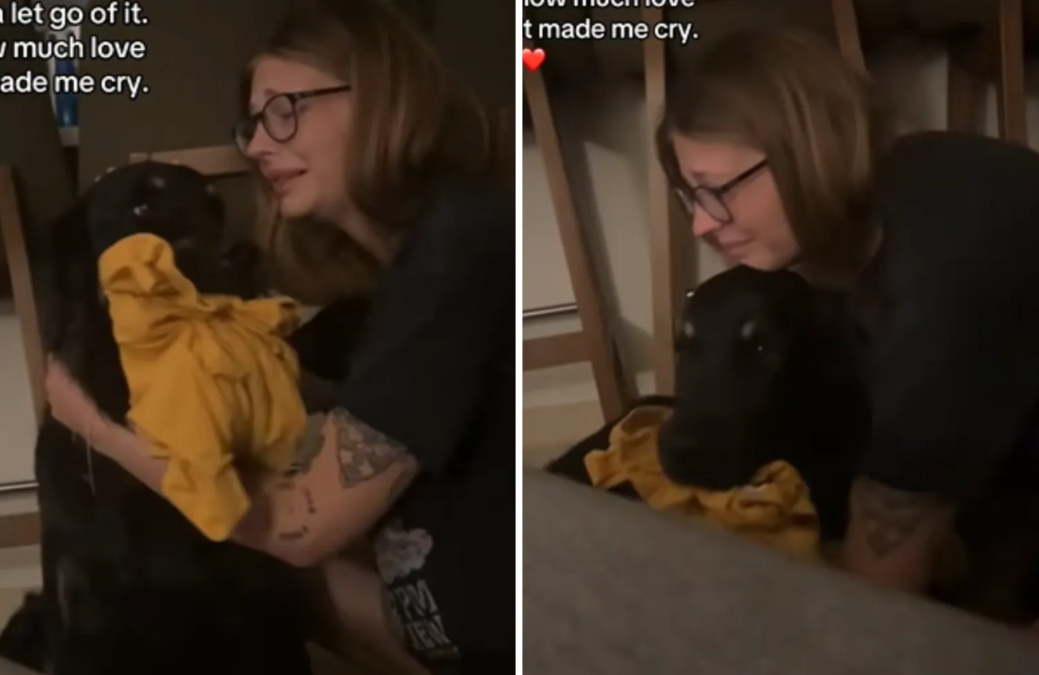 The Shirt That Meant Everything to a Rescue Dog