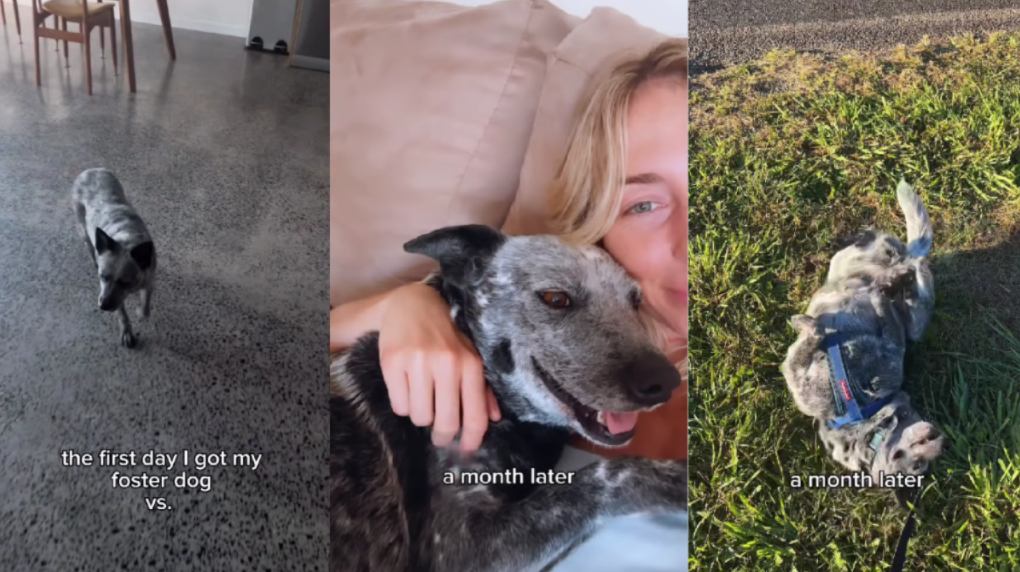 One Month Later—A Goofy Smile No One Expected