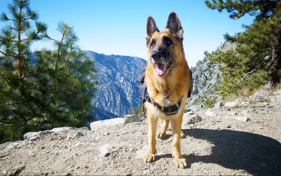 Before You Hit the Trail… Read This First