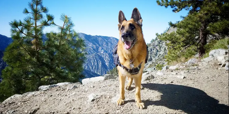 Before You Hit the Trail… Read This First