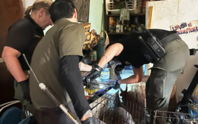37 Animals Rescued from One of California’s Worst Hoarding Cases