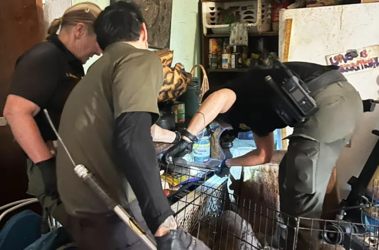 37 Animals Rescued from One of California’s Worst Hoarding Cases