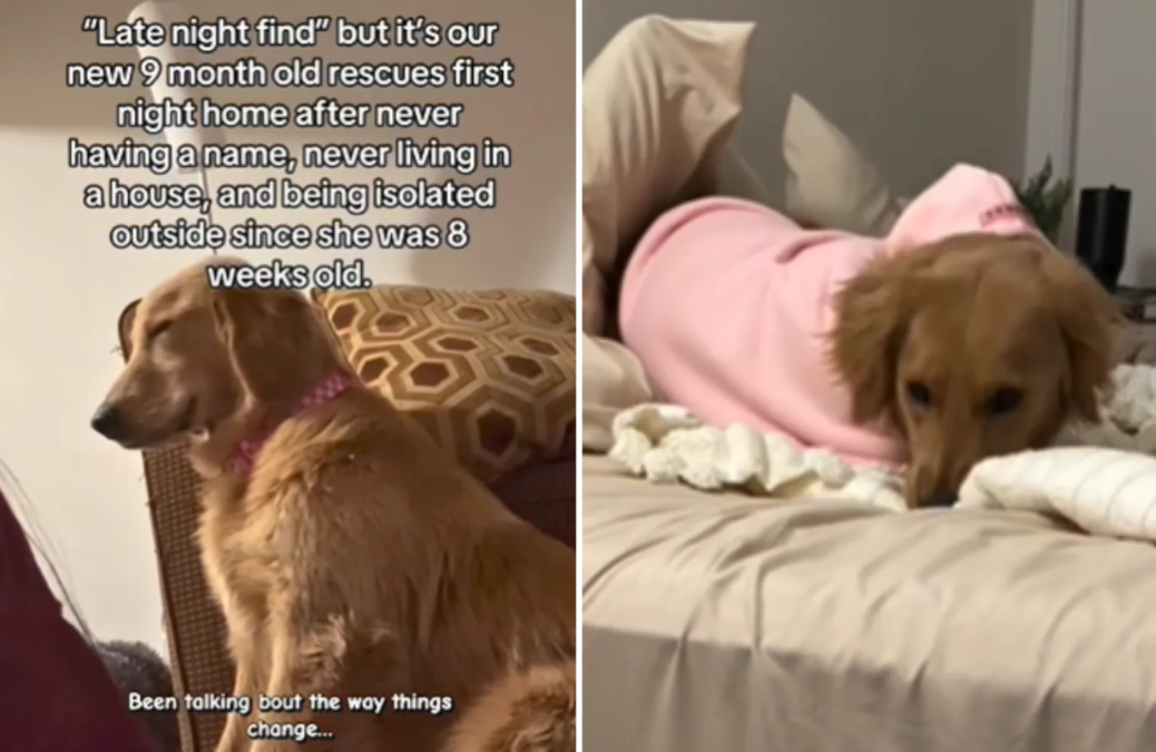 She Didn’t Know What “Home” Meant Yet