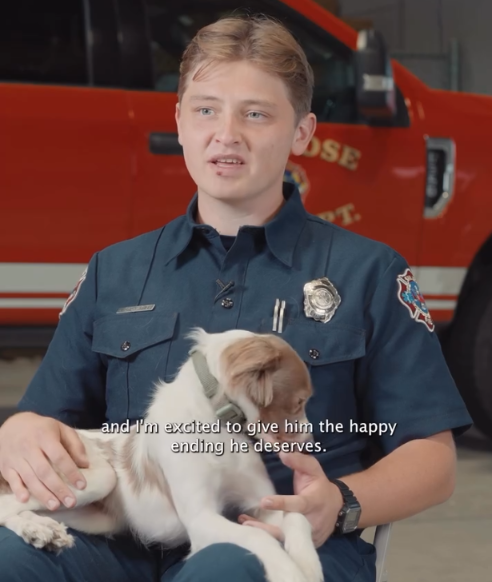 A Hurt Puppy Asked Firefighters for Help And Everything Changed