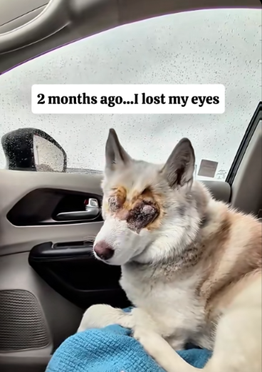 She Lost Her Sight… But Not Her Joy