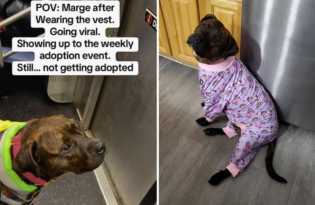 She Kept Showing Up… Until the Internet Stepped In