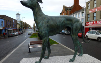 The Little Dog They Almost Gave Away… Who Became a Legend