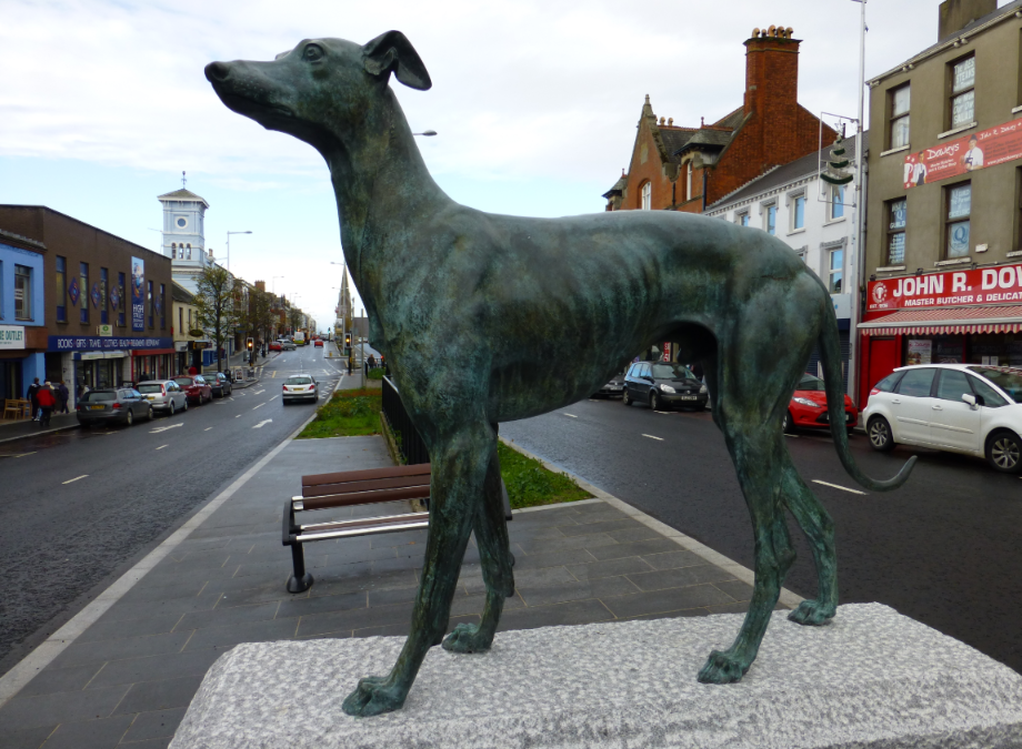 The Little Dog They Almost Gave Away… Who Became a Legend