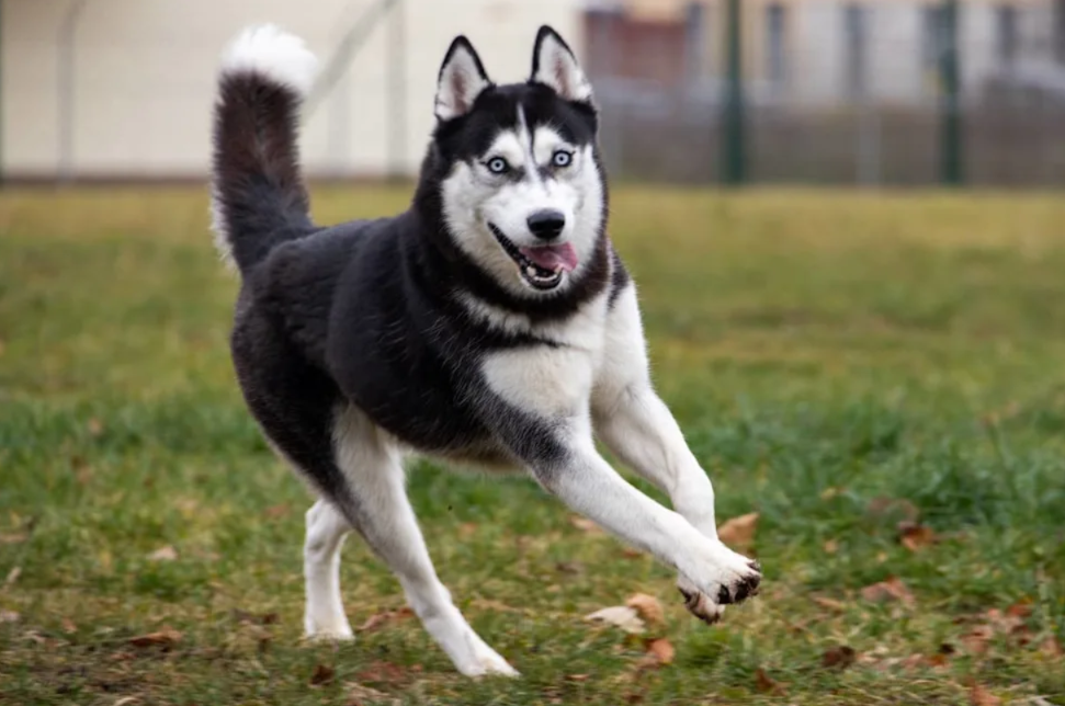 Escaped the House… Went to Daycare