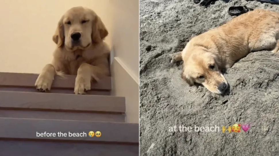 She Was Grumpy… Then the Ocean Fixed It