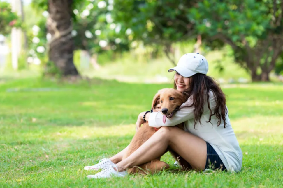 The Moment Panic Turned to Joy For this Dog At The Park