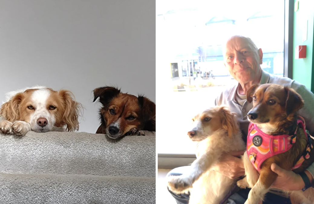 She Came Home… But Her Best Friend Was Still Waiting