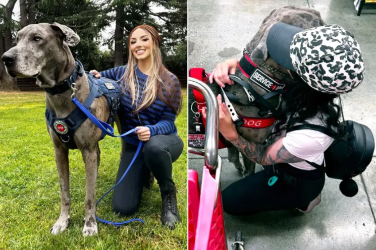 The Moment a Service Dog Proved Why They’re Called Heroes