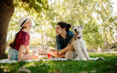 The Picnic Your Dog Will Never Forget