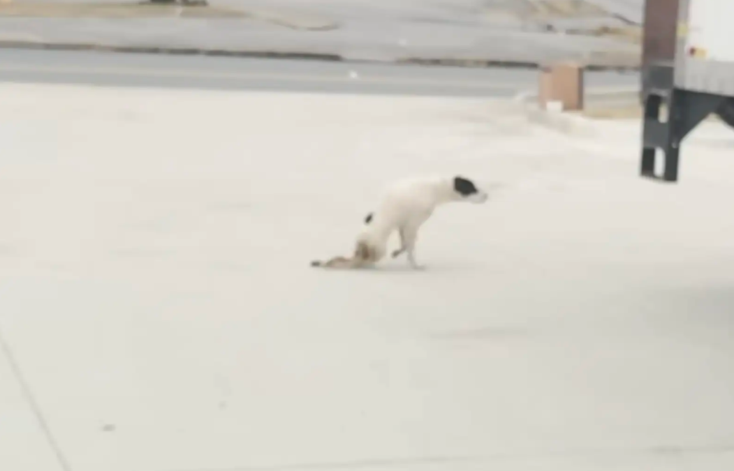 Broken, Crawling, Still Holding On, And The Moment One Person Cared